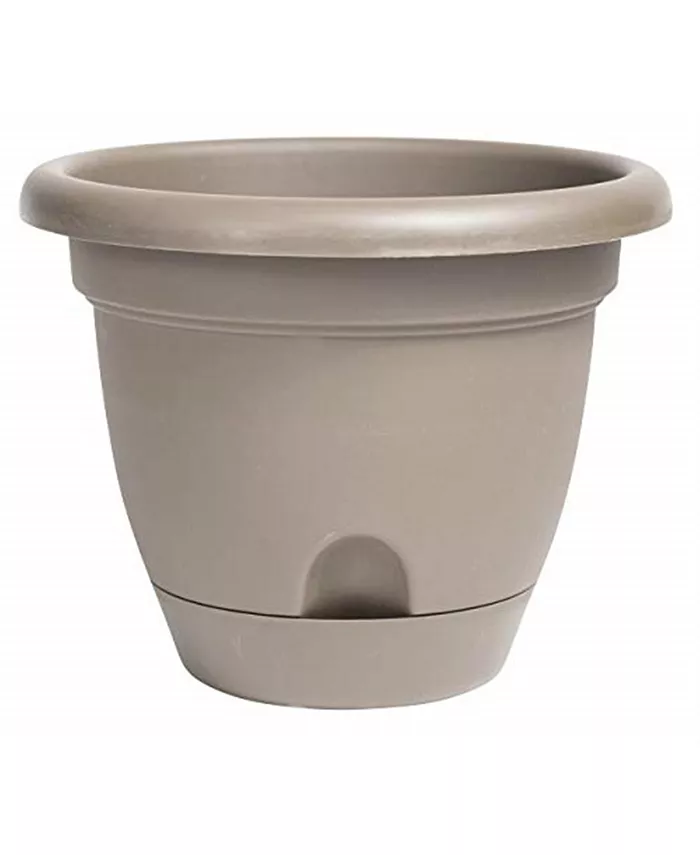 Bloem Lucca Plastic Self-Watering Planter w  Saucer， Pebble Stone Color， 6 inches