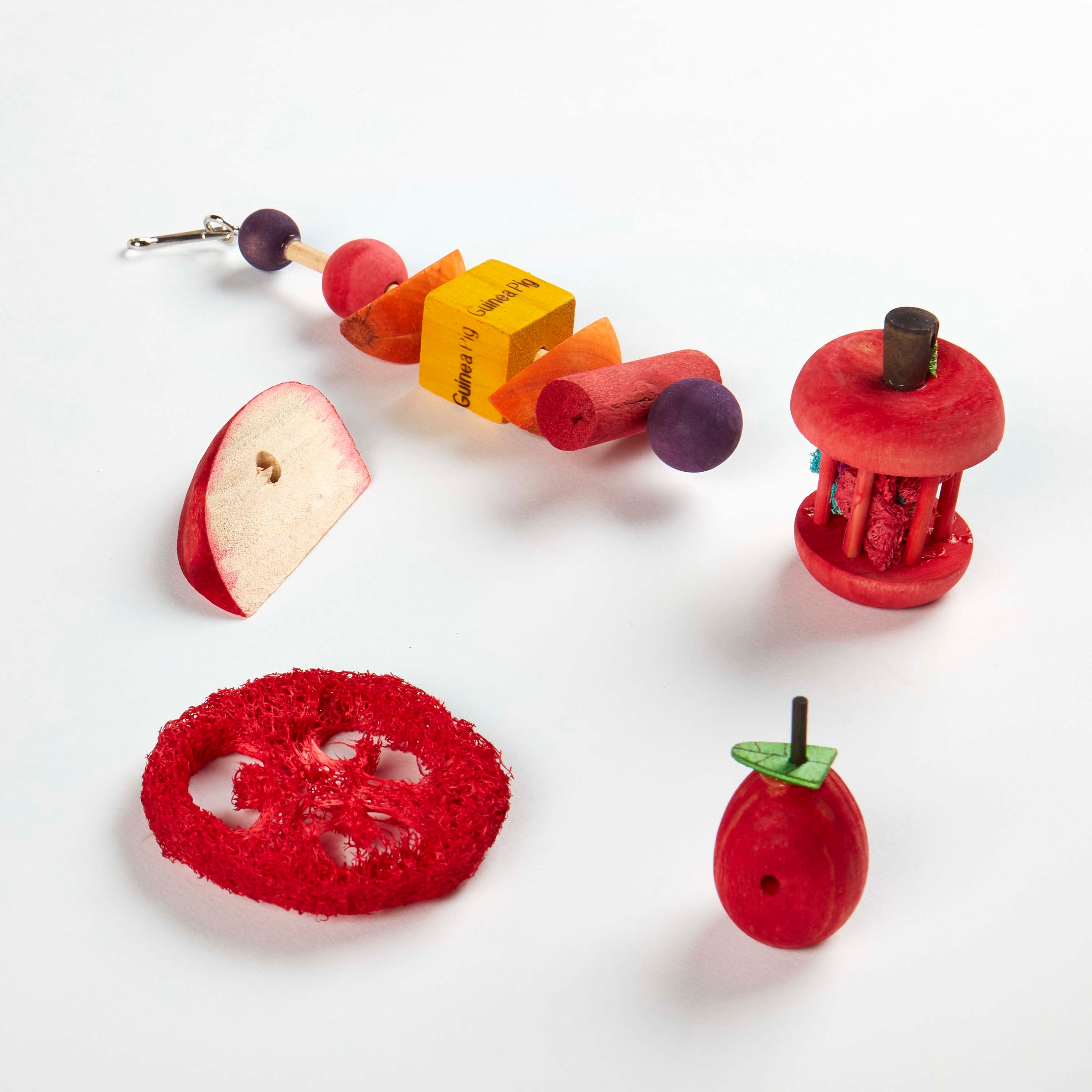 Kaytee Chew and Treat Toy Box Guinea Pig