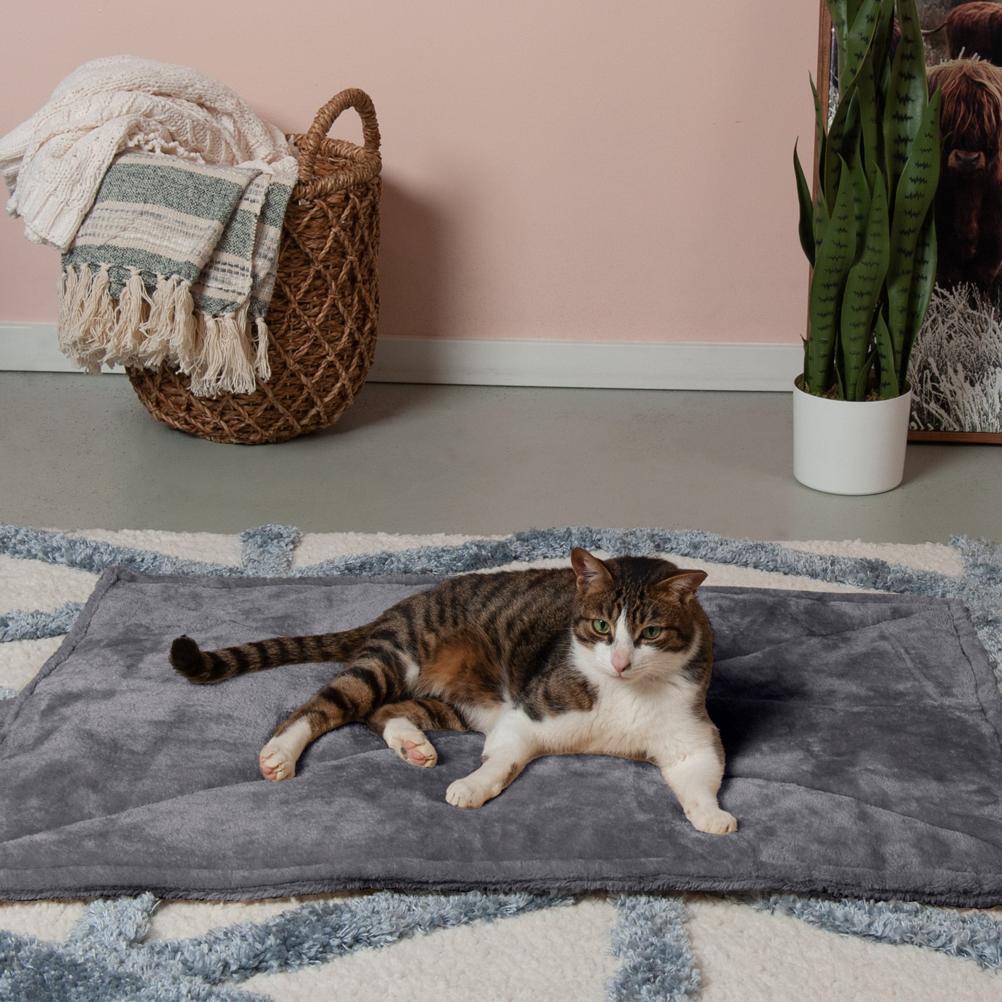 FurHaven | ThermaNAP Faux Fur Self-Warming Pet Bed Mat， Gray， Large