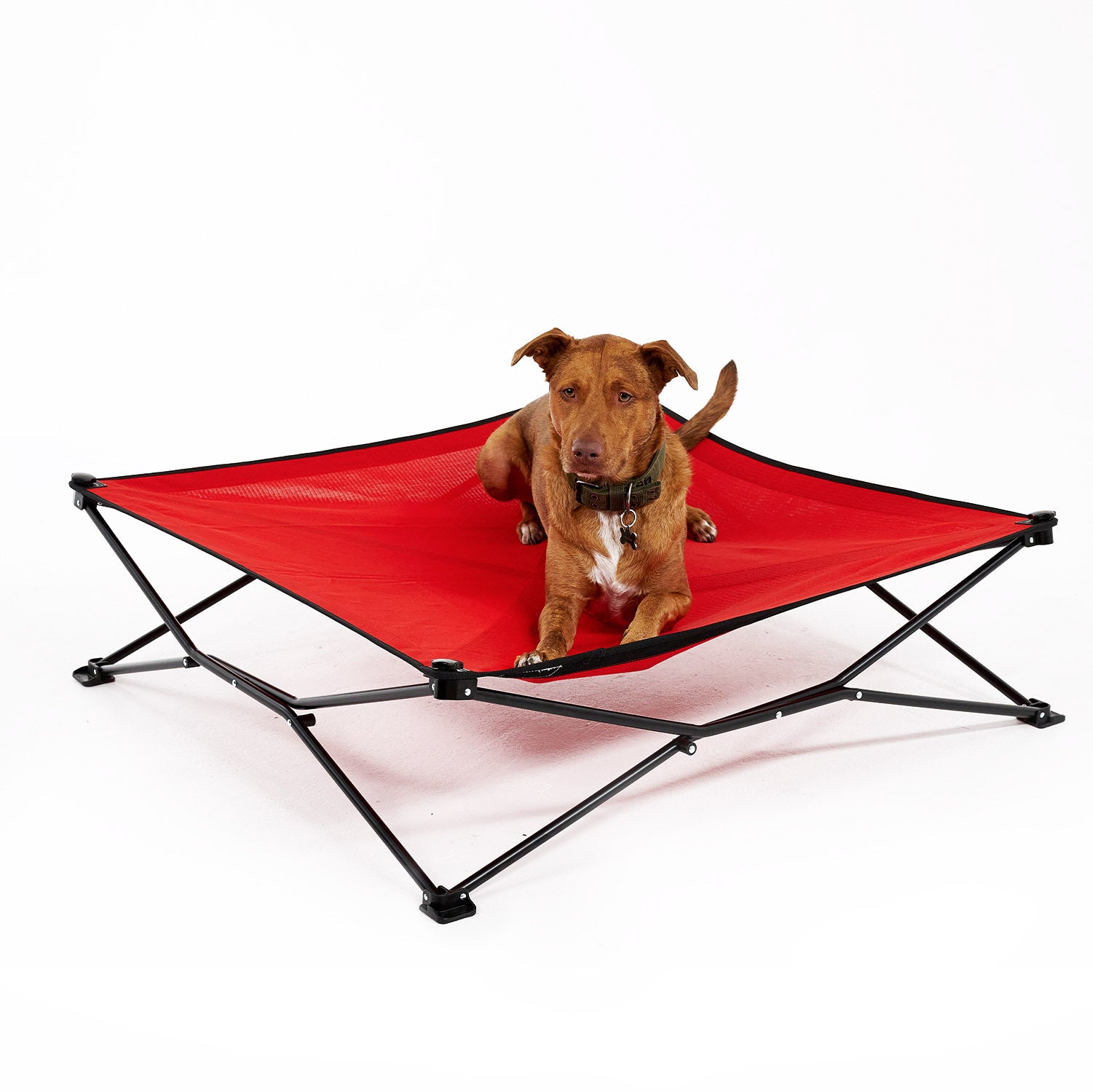 Coolaroo On the Go Elevated Travel Dog Bed， King， Red