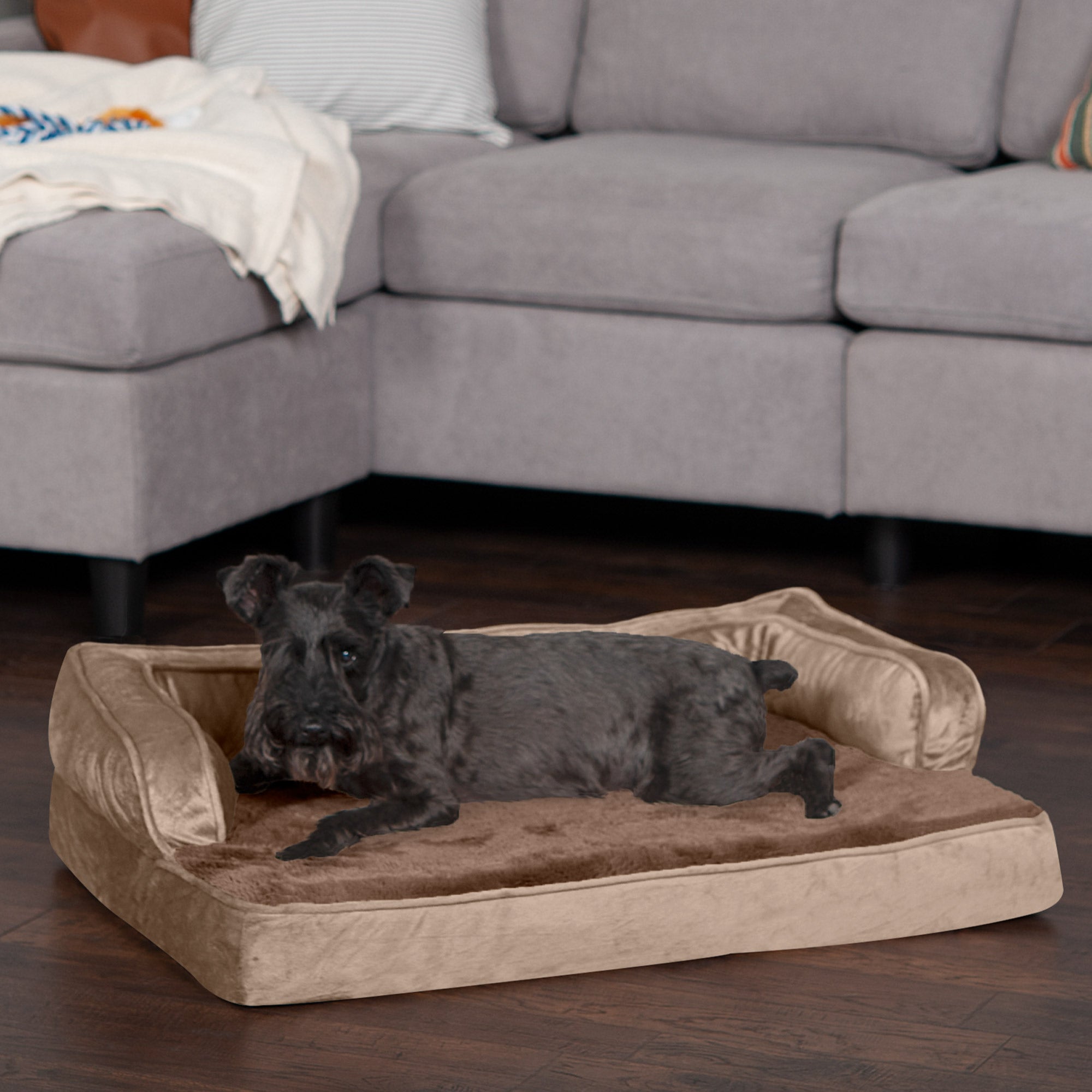 FurHaven Pet Products | Orthopedic Plush and Velvet Comfy Couch Sofa-Style Pet Bed for Dogs and Cats， Almondine， Medium