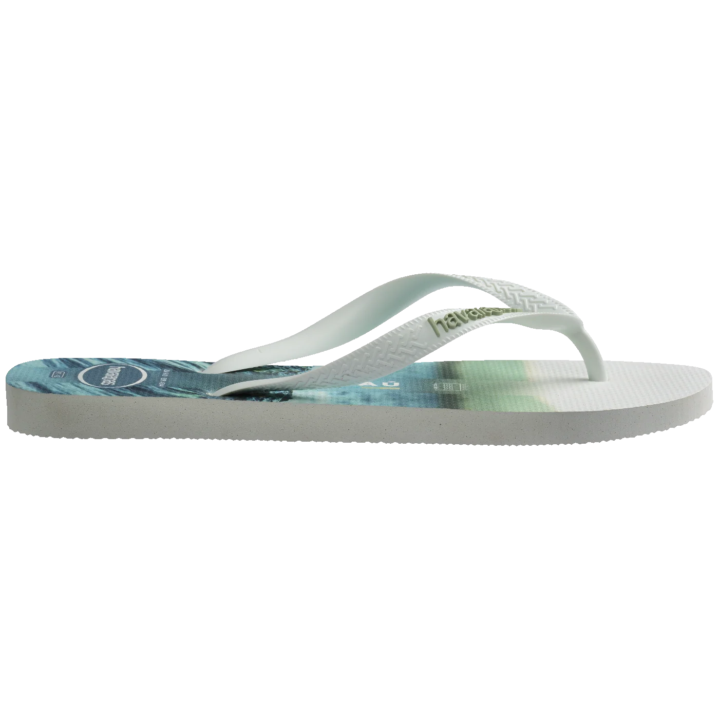 Chinelo Havaianas Top Surfer I