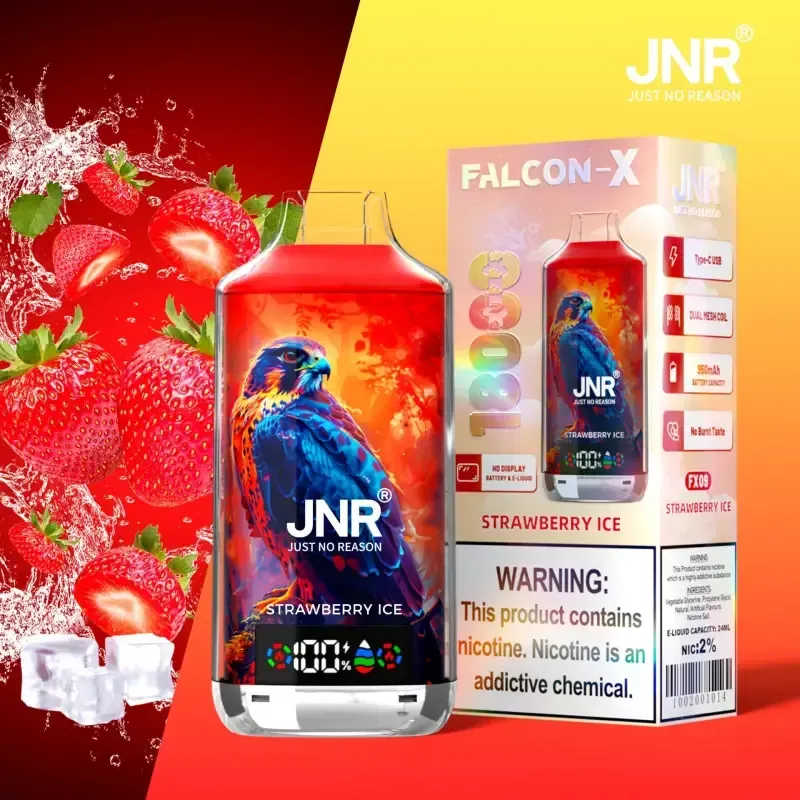 🔥JNR Falcon-X 18K 💨 Smart Display Disposable