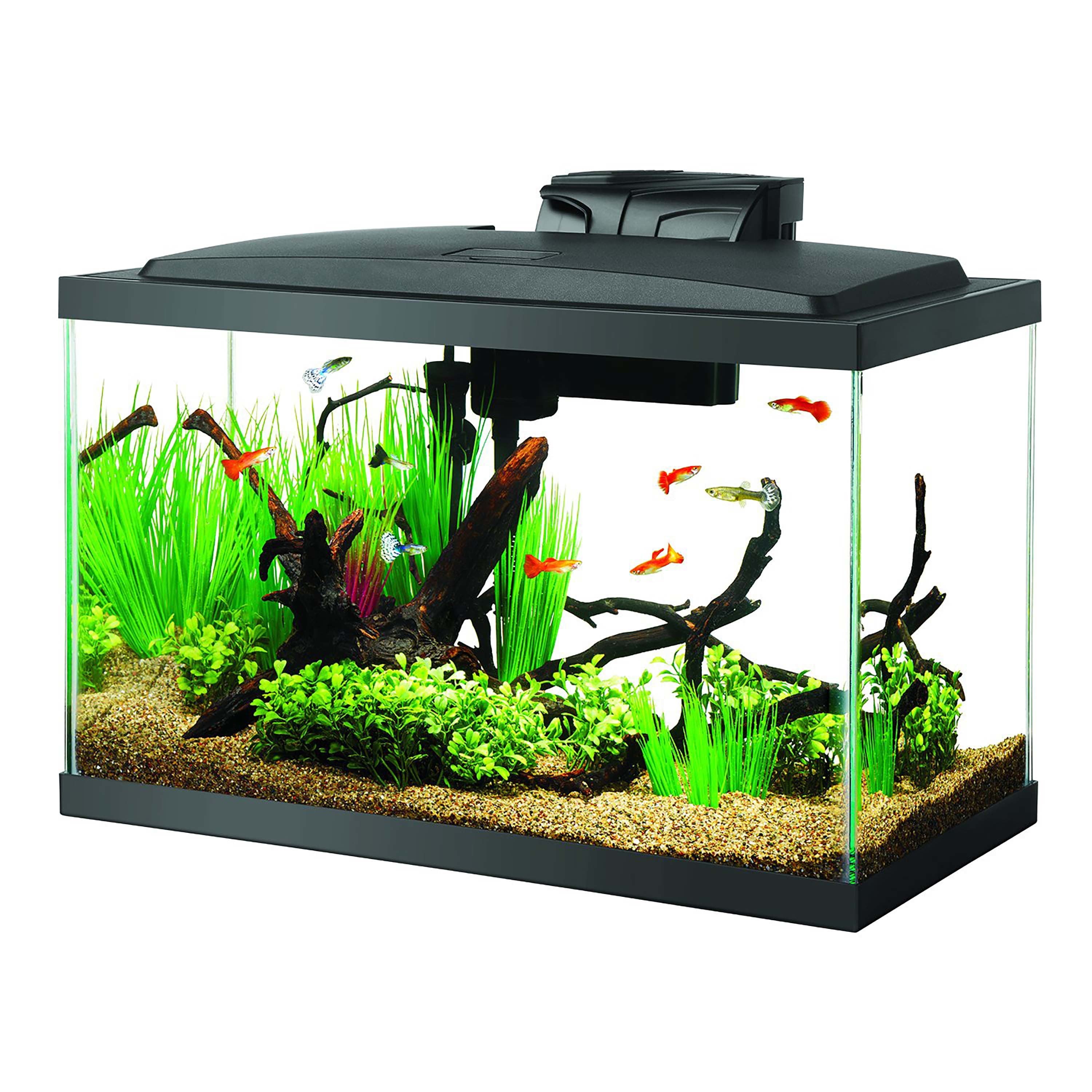 Aqueon Aquarium Starter Kit， 10 Gallon Glass Fish Tank， LED Lighting， Filter and Heater