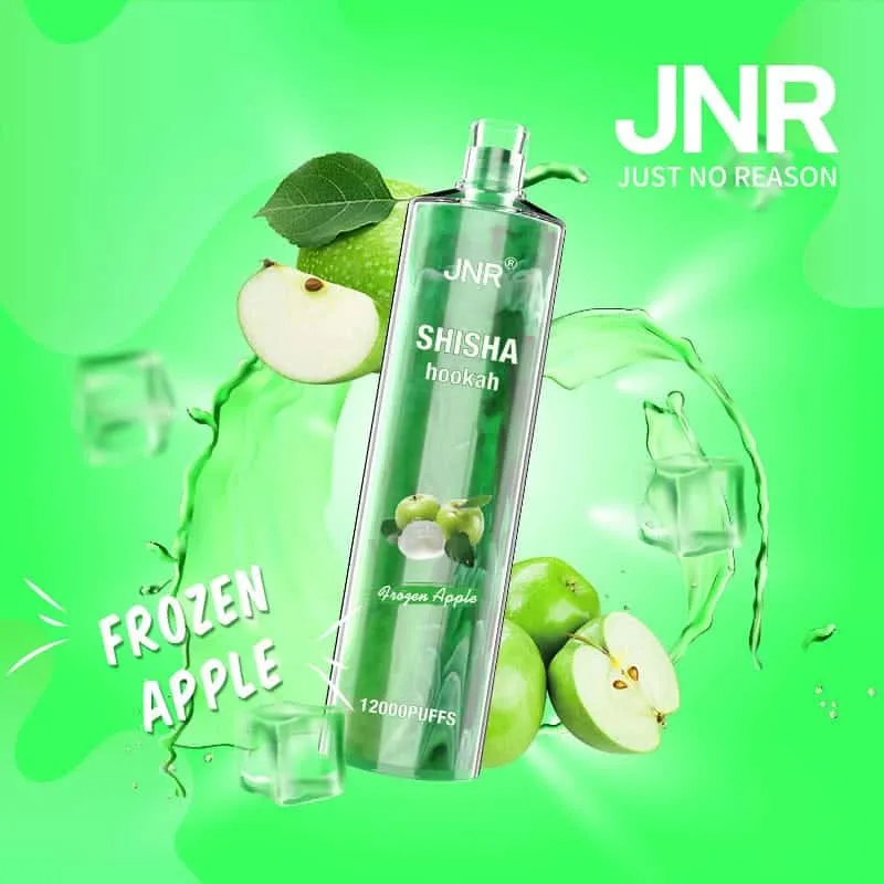 JNR Shisha 12000 Puff 12k Puffs Disposable Vape Guide