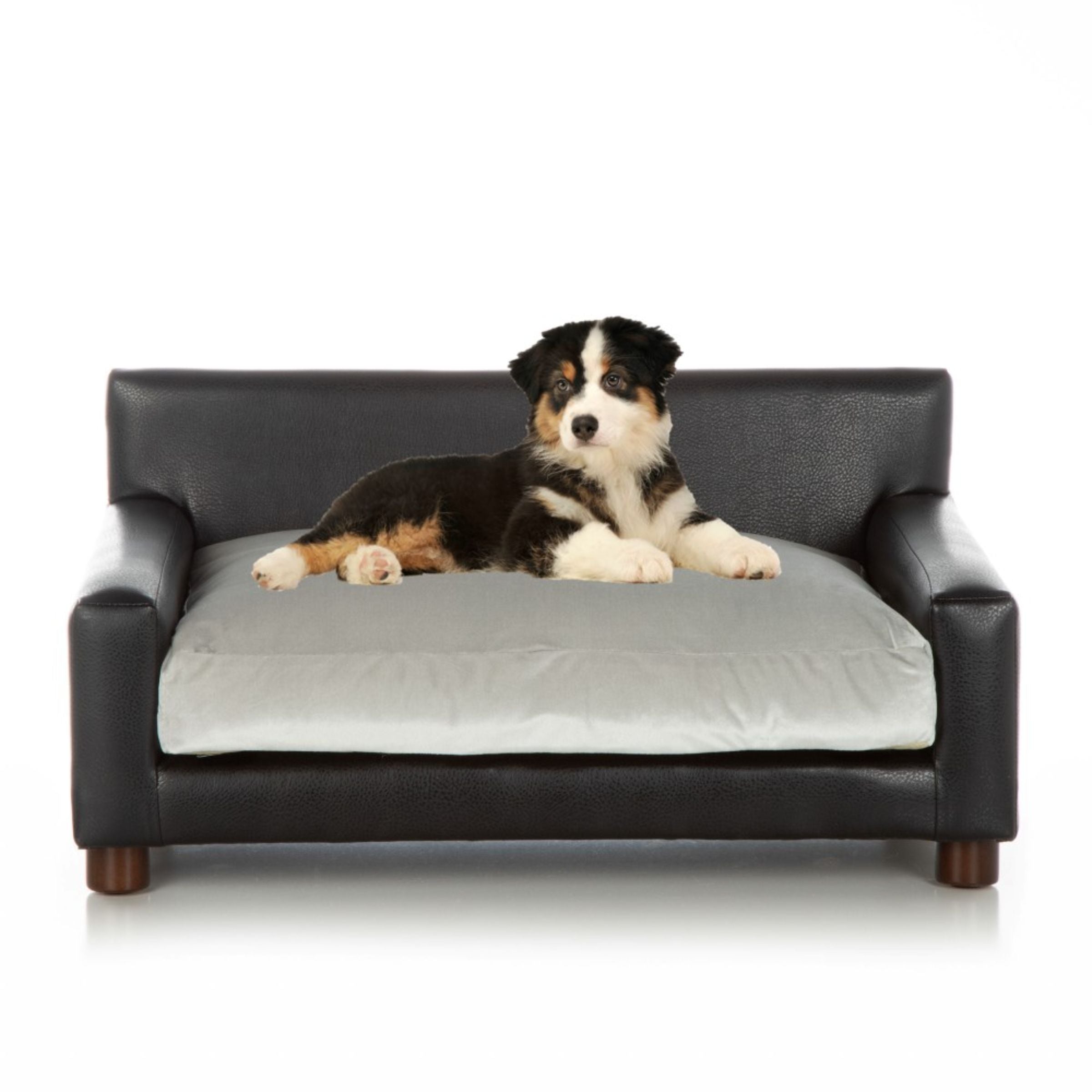 Club Nine Pets Metro Orthopedic dog Bed， Large， Silver.