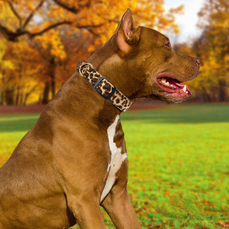 YUDOTE Dog Collar Leopard Small with Soft Flocking Fabric Adjustable 10-15