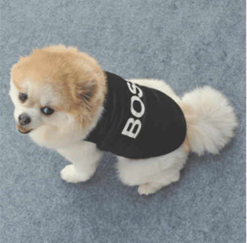 Cute BOSS Logo t-Shirt Black and White BOSS Design Shirt FOR SMALL DOGS Small Dog Sweater (XS)