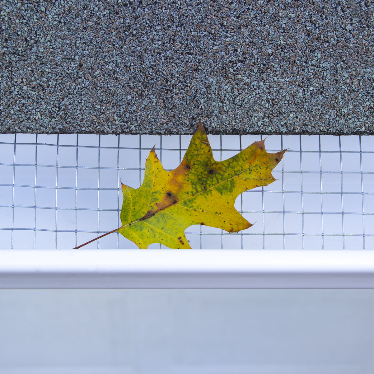 Expert Gardener Galvanized Steel Gray Hardware Cloth, 24" x 5' Roll Fences