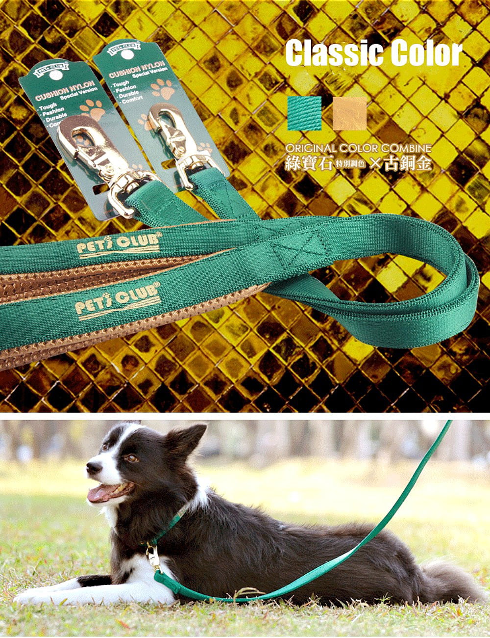 Heavy Duty Collar with Metal Buckle Zinc Alloy Fittings for Medium Large Dogs，Green Gold Wide Type