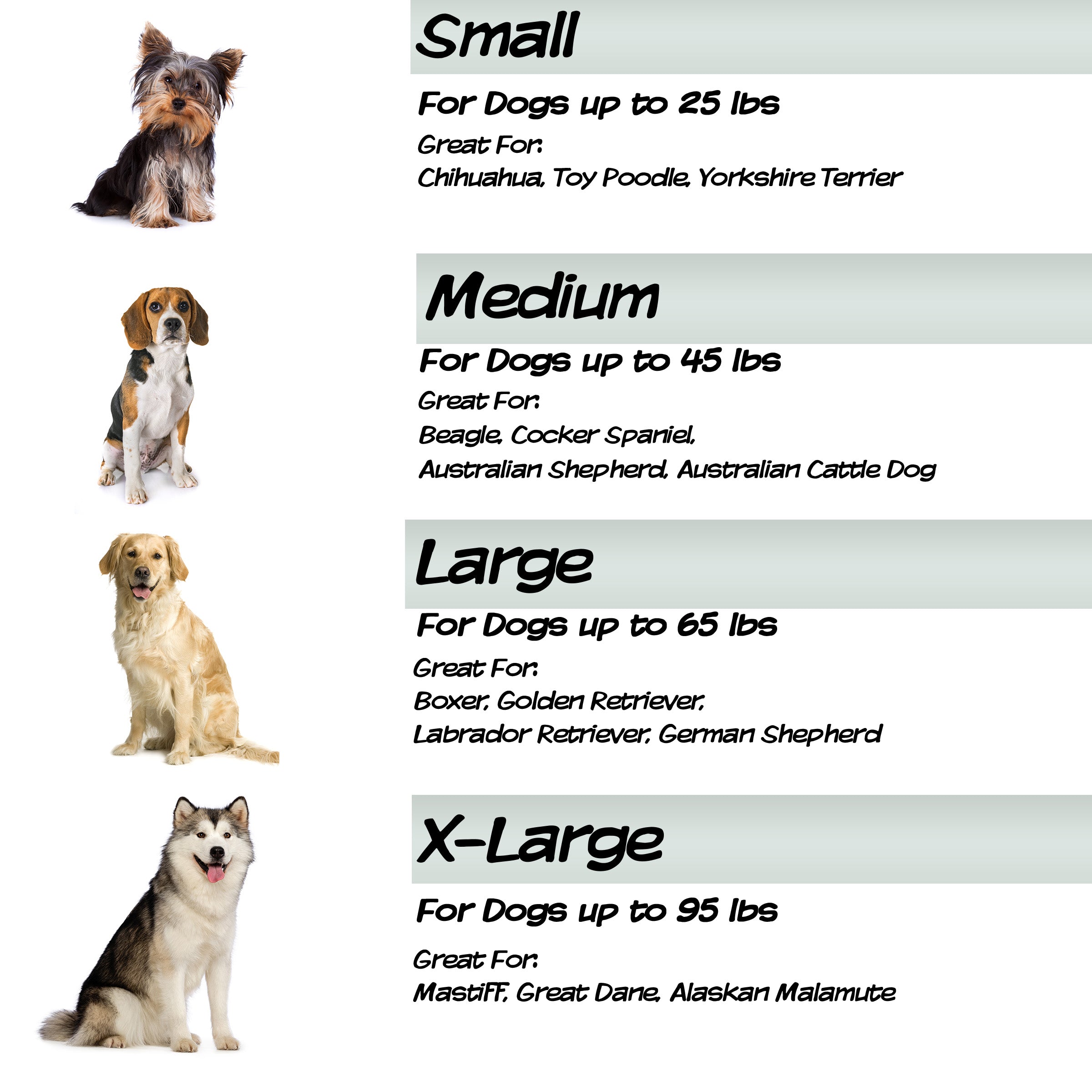 PETMAKER 3 inch Foam Pet Bed-25.5x19 inches-Forest