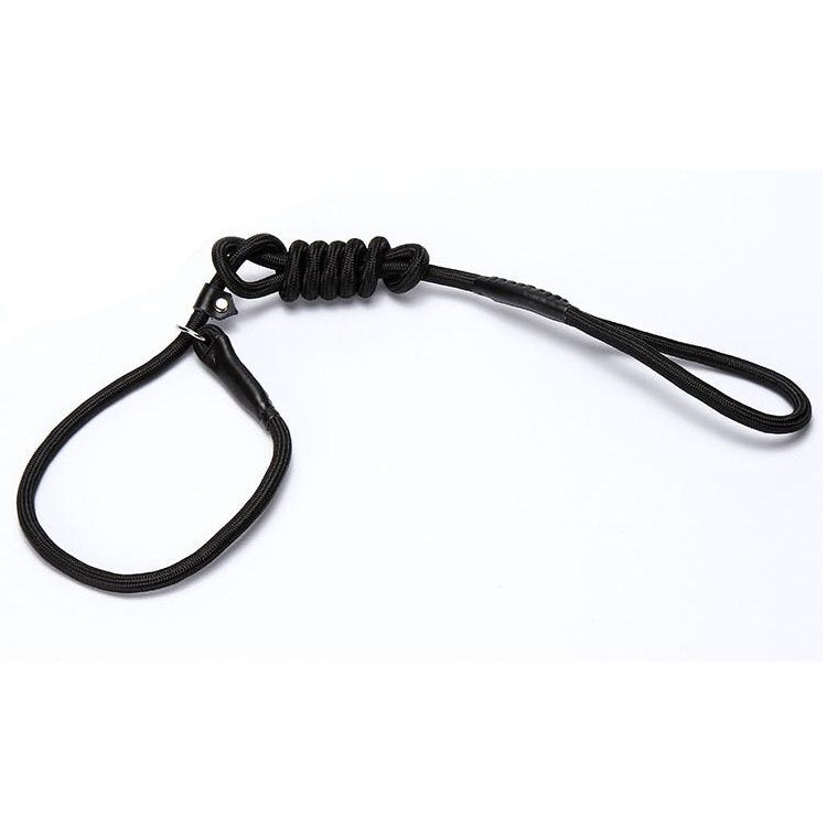 Strong Dog Nylon Adjustable Loop Slip Rope Leash Training Choke Collar 4ft Black