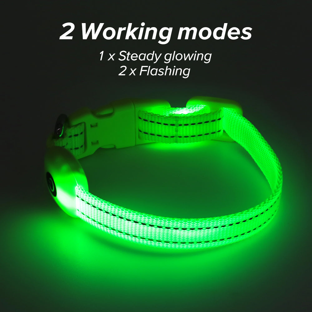 Bseen Small LED Dog Collar - USB Rechargeable Glowing Pet Collar for x-Small Dogsand Cats (Green)