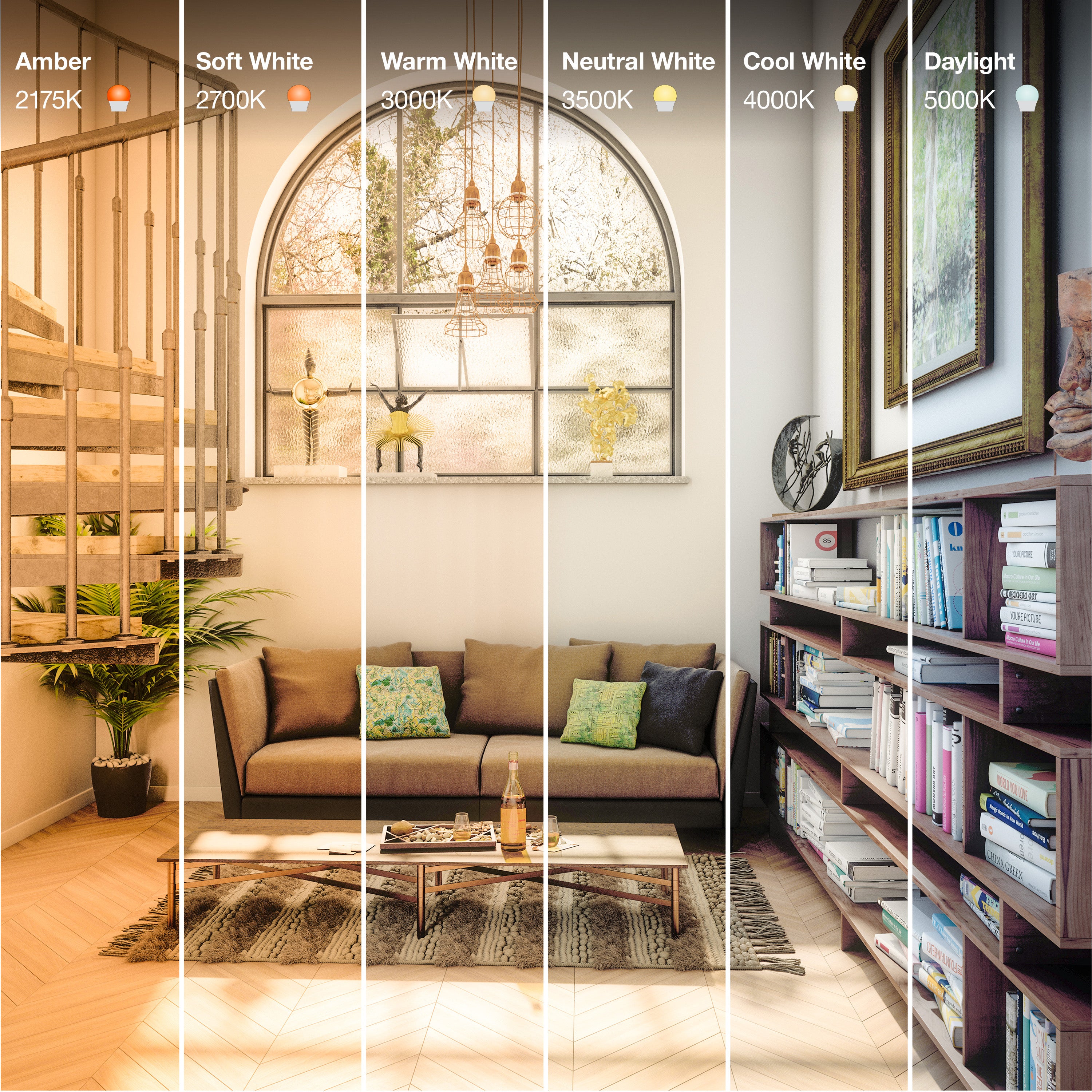 SYLVANIA PAR38 Night Chaser LED Light Bulb 25W， 2650 Lm， 40* Beam Spread， Dimmable， 81CRI， 2650 Lumen， 5000K， 25000 Life
