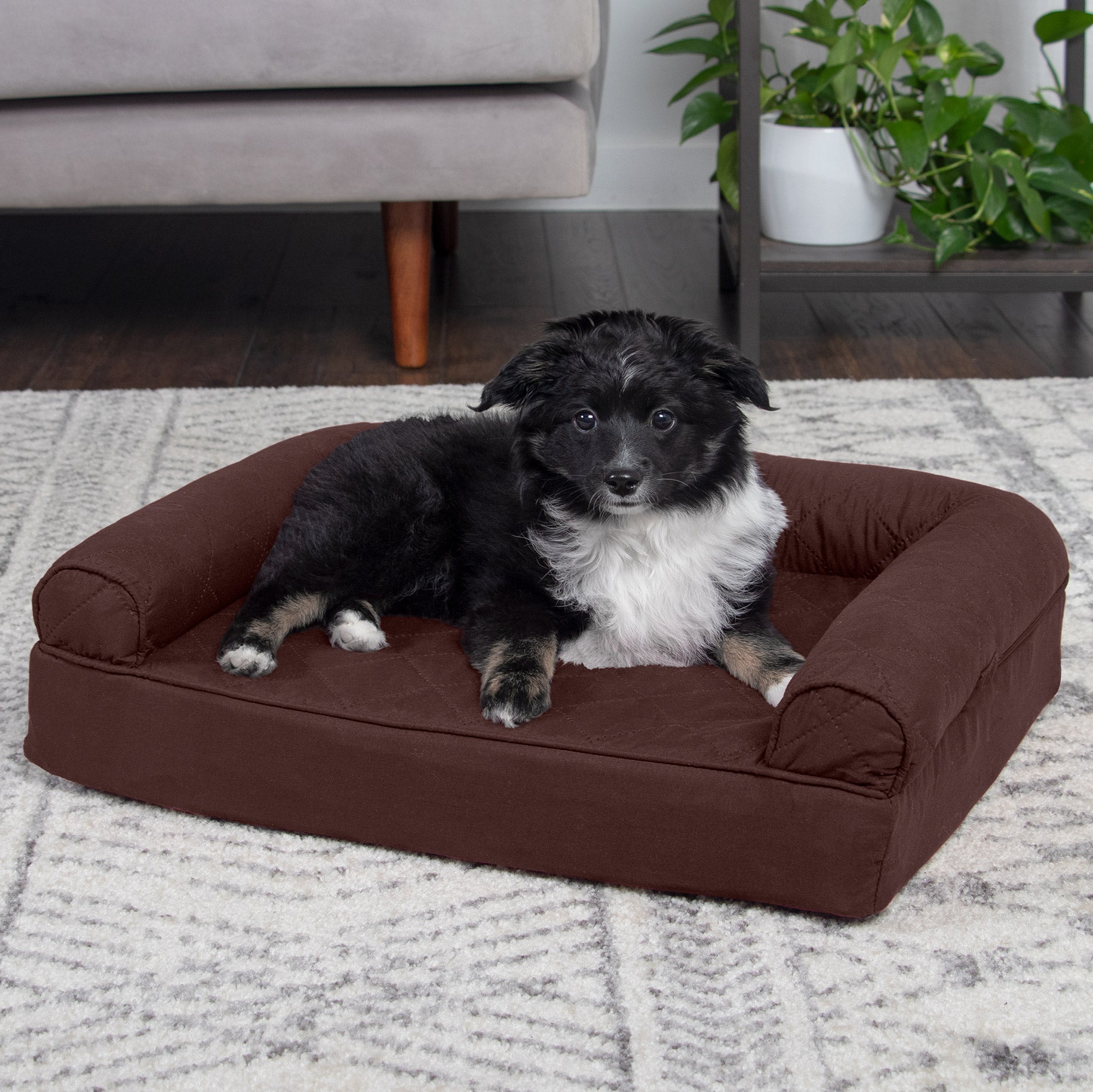 FurHaven | Orthopedic Quilted Sofa Pet Bed for Dogs and Cats， Coffee， Small