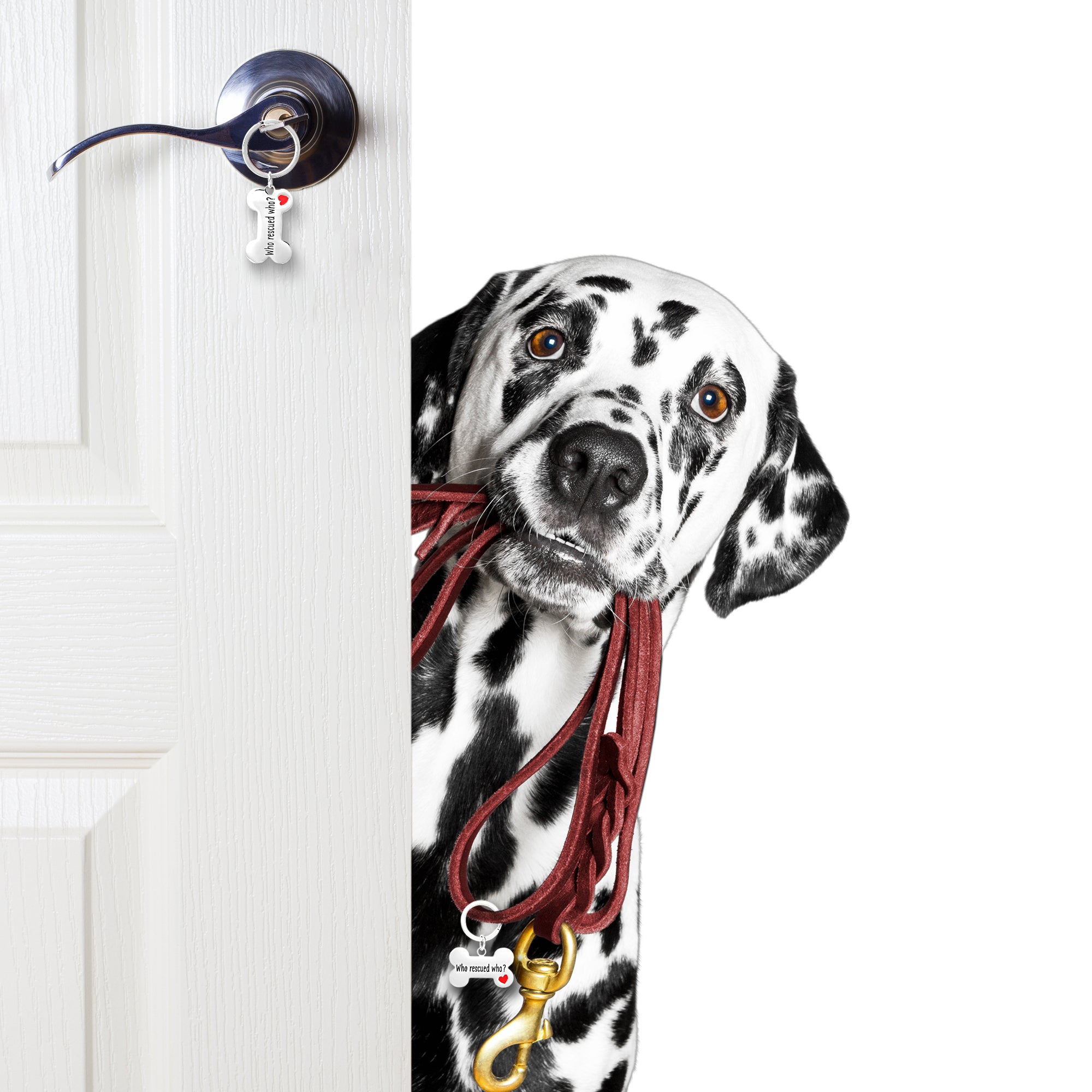 Connections from Hallmark Stainless Steel Dog Who Rescued Who Tag and Keychain Set