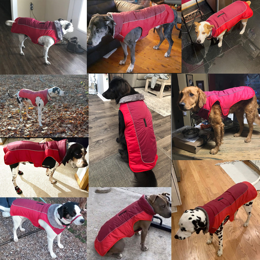 [Upgrade] Dog Winter Coat Thickened Dog Clothes Cozy Reflective Waterproof Dog Winter Jacket Warm Dog Apparel for Cold Weather British Style Fleece Vest Dog Sweater for Medium Large Dogs