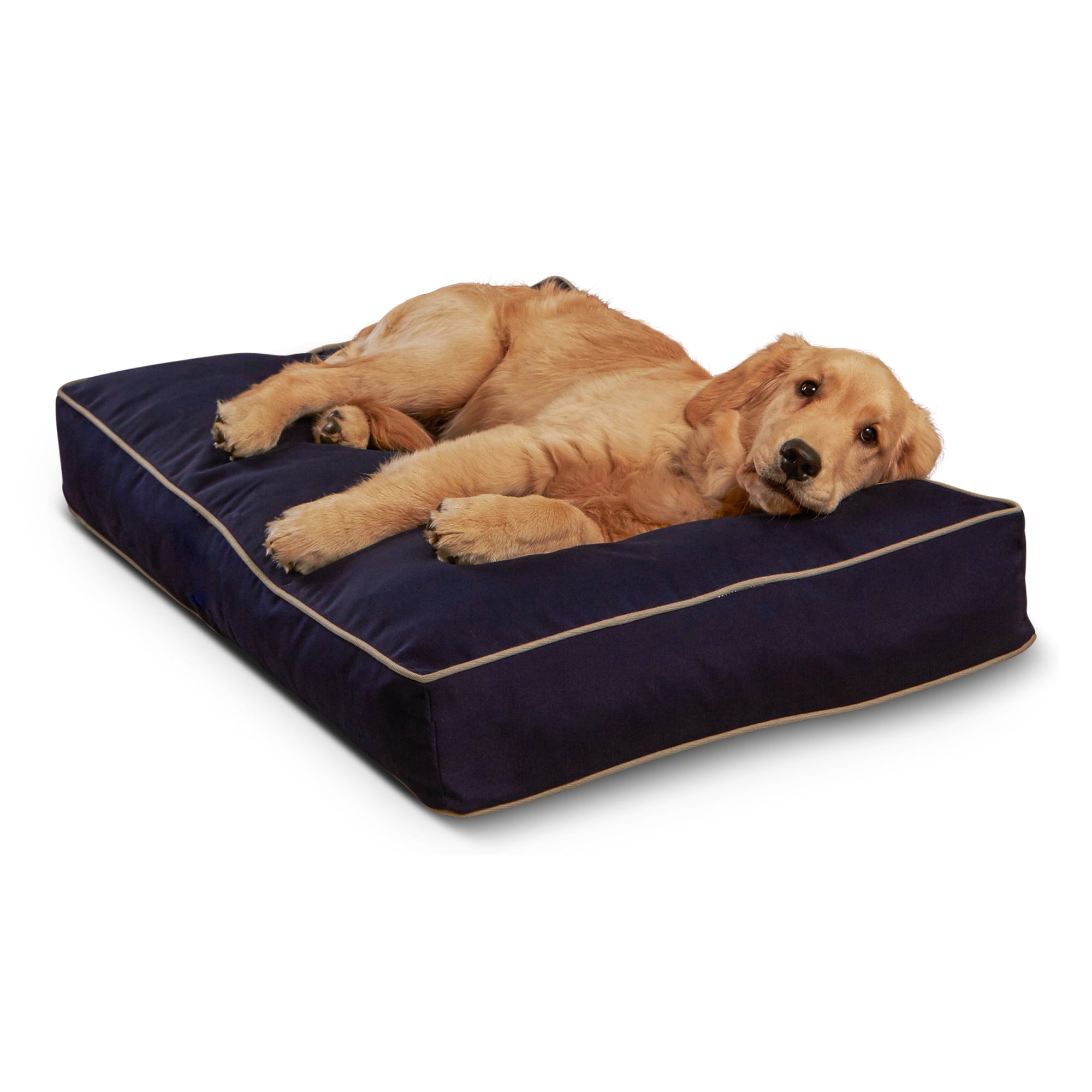 Happy Hounds Casey Indoor/Outdoor Pillow Style Dog Bed， Navy， Small (36 x 24 in.)