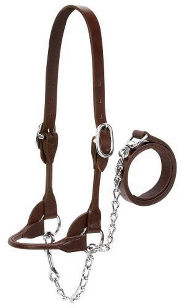 Weaver Livestock 90-0505 Small Dairy/Beef Rounded Show Halter BR