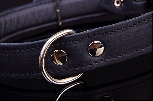 Peak Pooch Leather Dog Collar， Premium Nickel Dog Collars for Medium Dogs， Medium