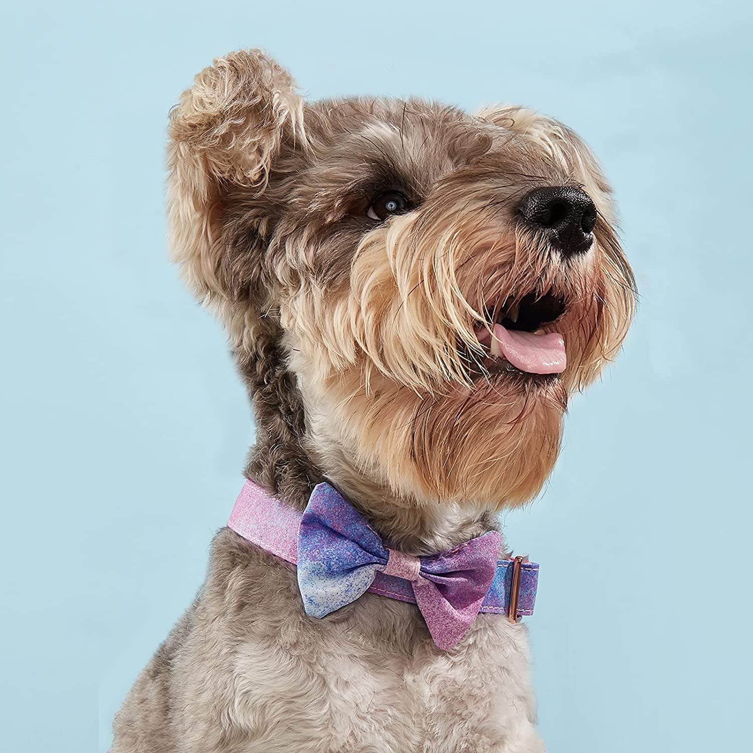 DUAIU Dog Collar Floral Dog Collar for Soft Comfy Pet Collars with Safety Buckle Detachable Flower and Knotbow Adjustable Dog Collars for Small/Medium/Large Dog/Girl Dog/Boy Dog (L)