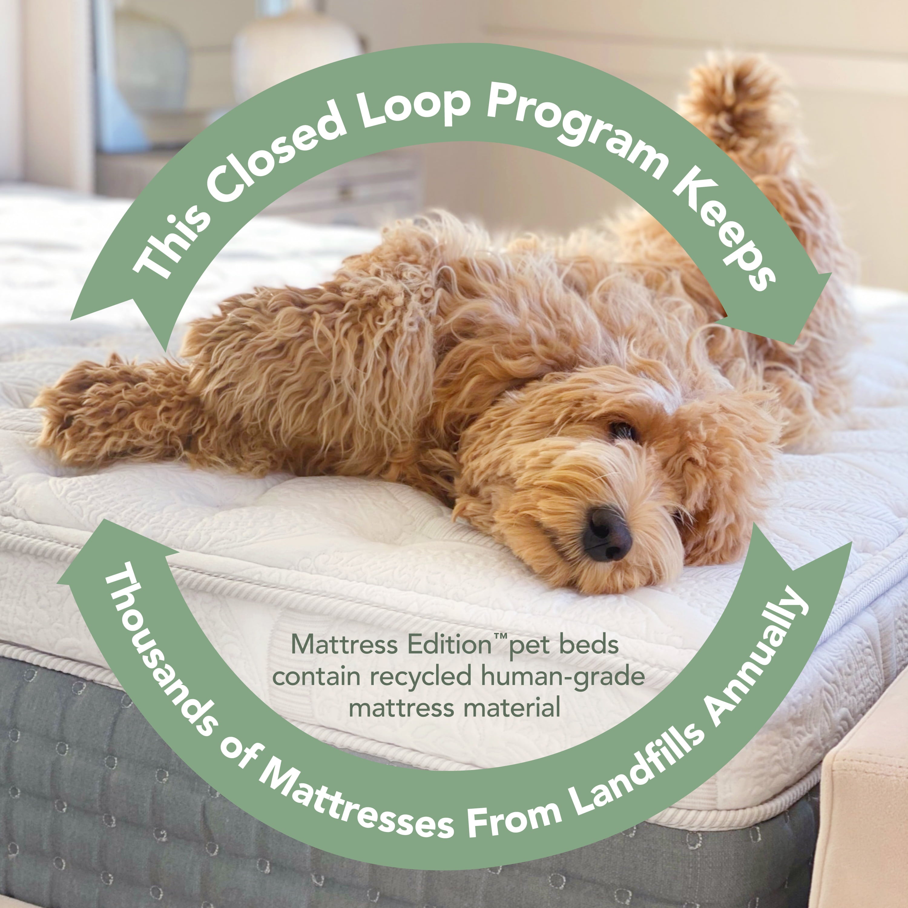 Vibrant Life Luxe Cuddler Mattress Edition