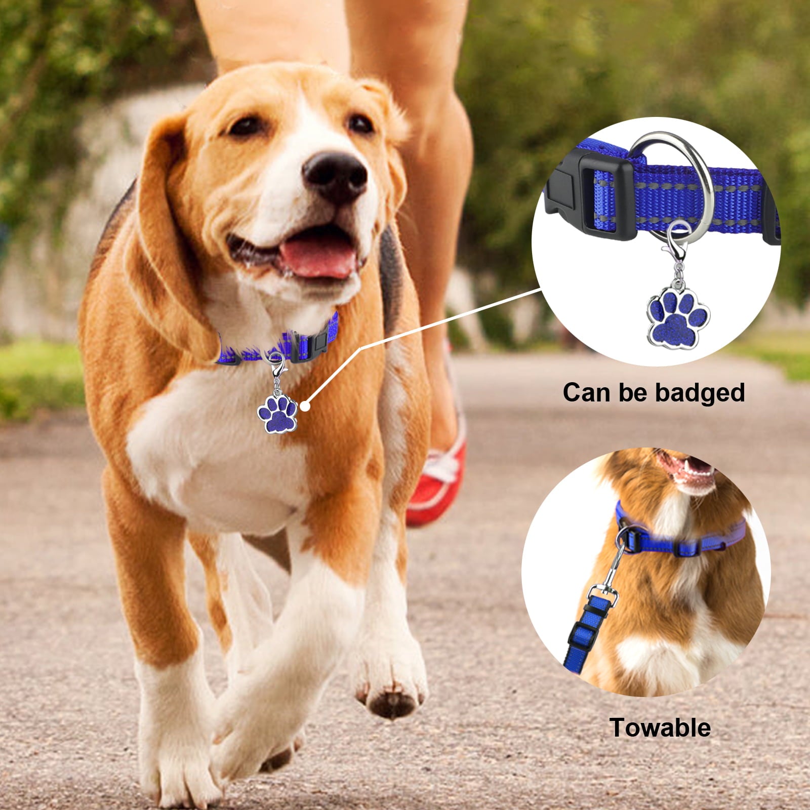 MASBRILL Dog Collar with Dog tag Reflective Soft Neoprene Padded Breathable and Adjustable， Odour Resistant and Fast Drying-Blue-M