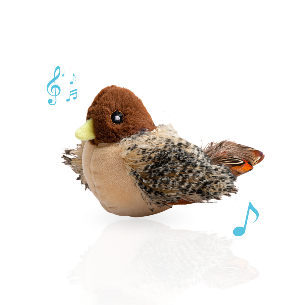 Interactive Chirping Bird Toy for Cats | USB Rechargeable Moving Cat Toy