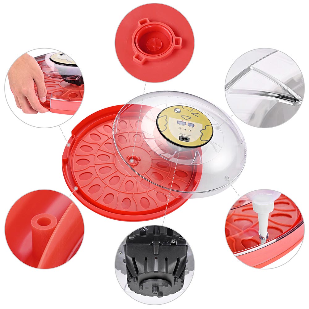 Yescom 30 Egg Incubator Auto Turning Temper Humidity Display