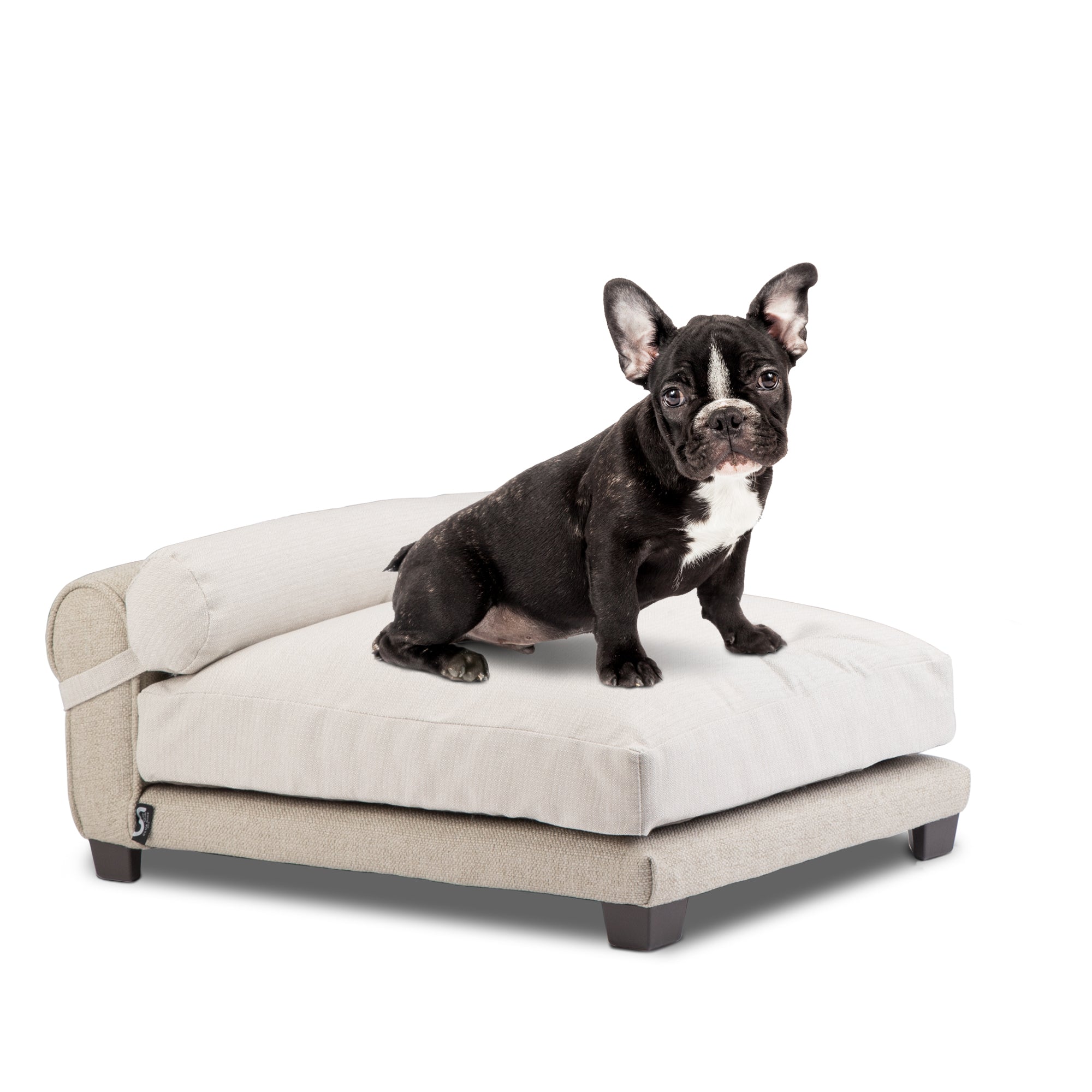 Club Nine Pets Belmont Orthopedic Dog Bed， Large， Linen.