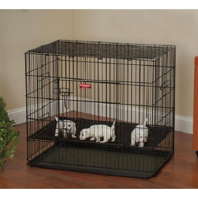 Proselect ZW064 30 17 Puppy Playpen with Plastic Pan Med Black S