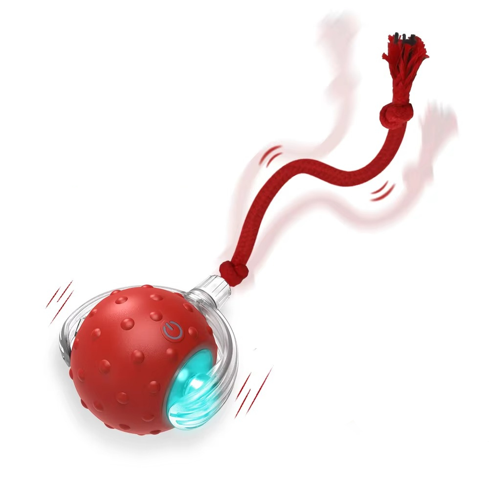 Smart Interactive Cat Toy Ball | USB Rechargeable Motion Ball for Active Cats