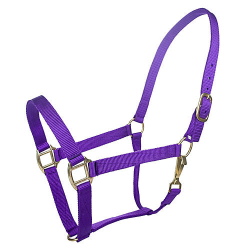Tabelo Nylon Halter w/Snap Xlarge Purple