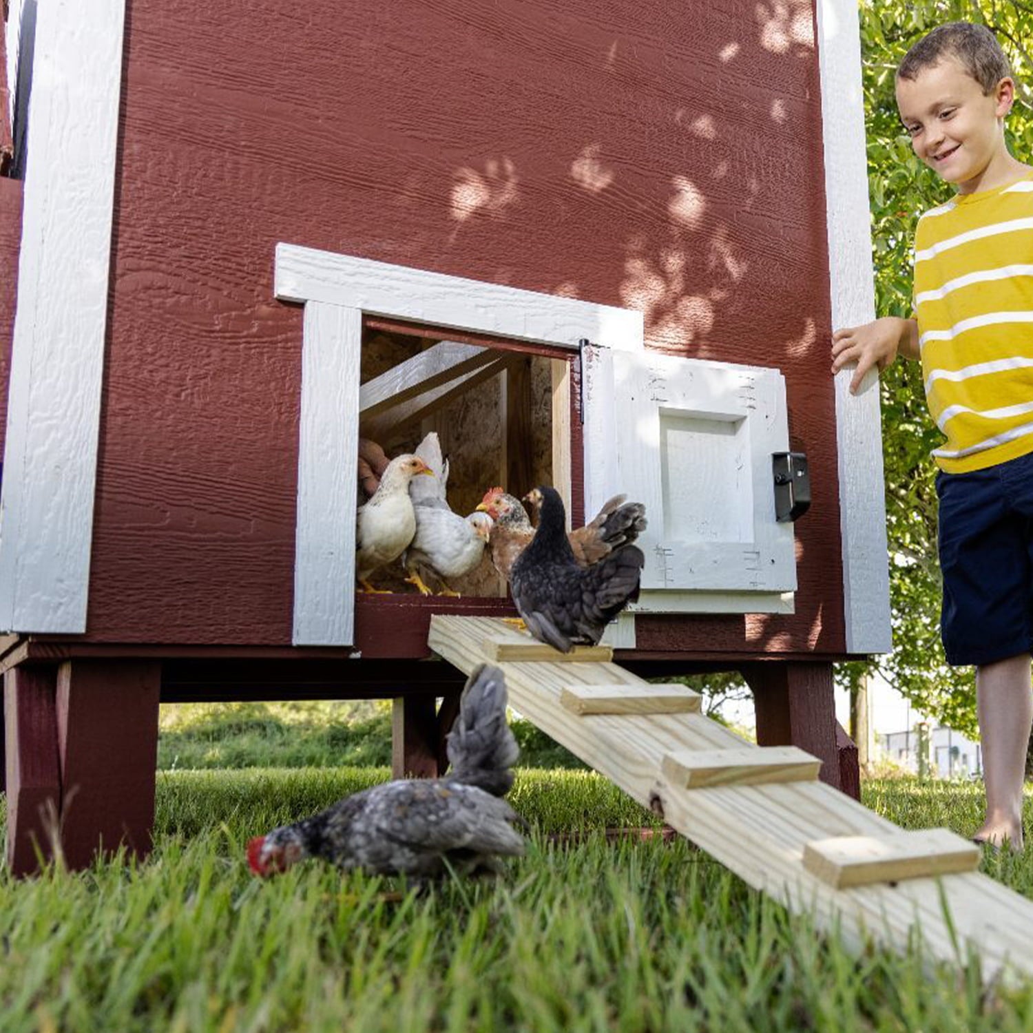 OverEZ Large Poultry Chicken Coop for 15 Chickens with Nesting Boxes， Red