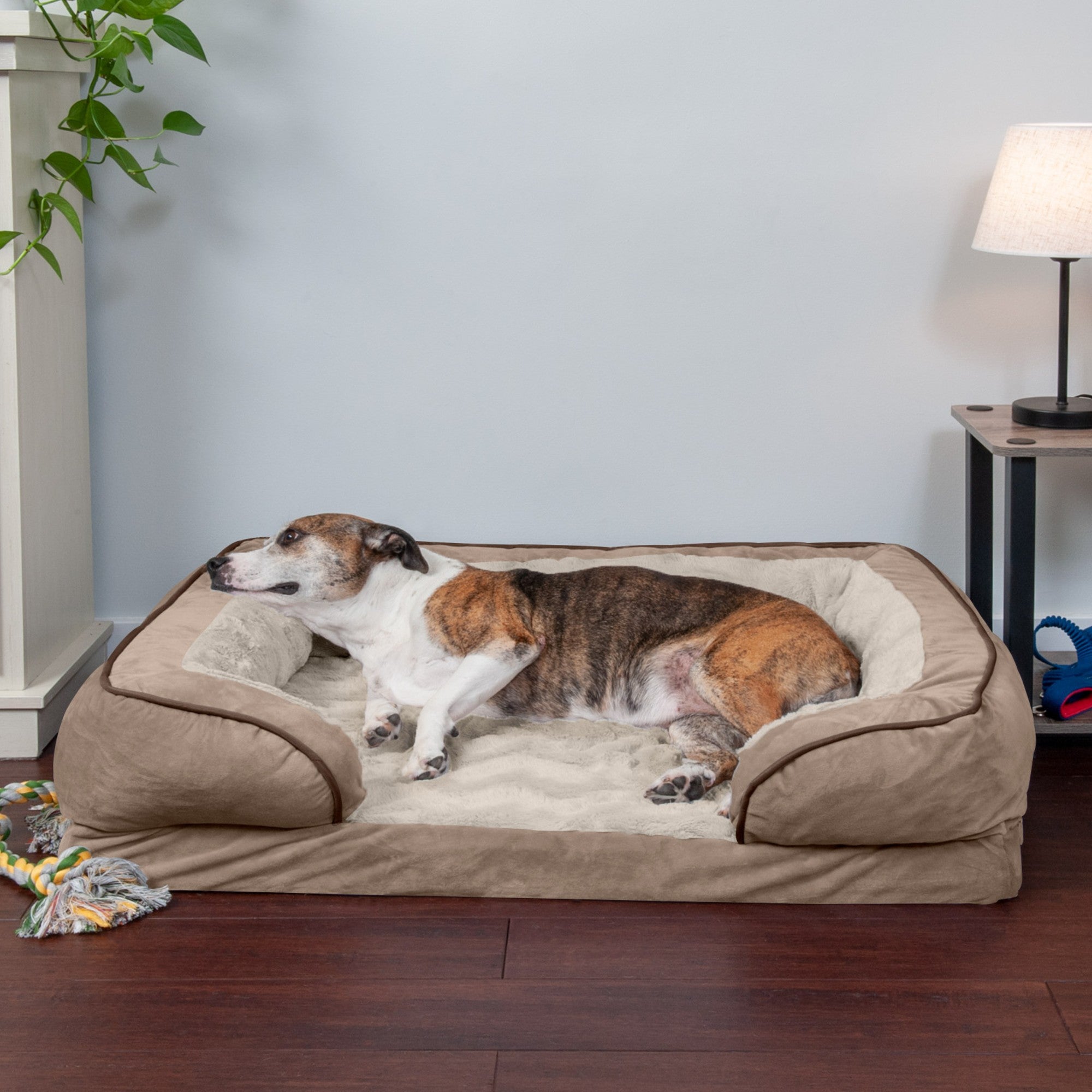 FurHaven Pet Products | Convolute Orthopedic Perfect Comfort Velvet Waves Sofa-Style Couch Pet Bed for Dogs and Cats， Brownstone， Large