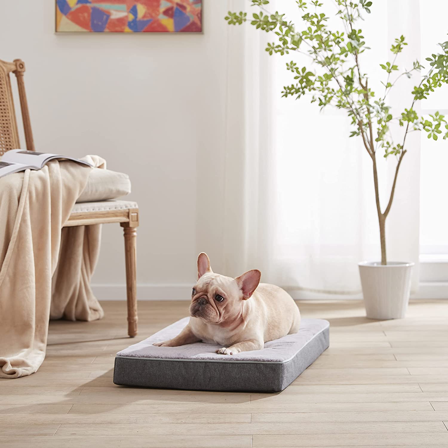 GOHOO PET Orthopedic Memory Foam Dog Bed， Dog Crate Bed for Medium Dogs -Waterproof Pet Bed with Removable Washable Cover， Purple Rabbit Plush Surface， M(29inch，45Lbs)