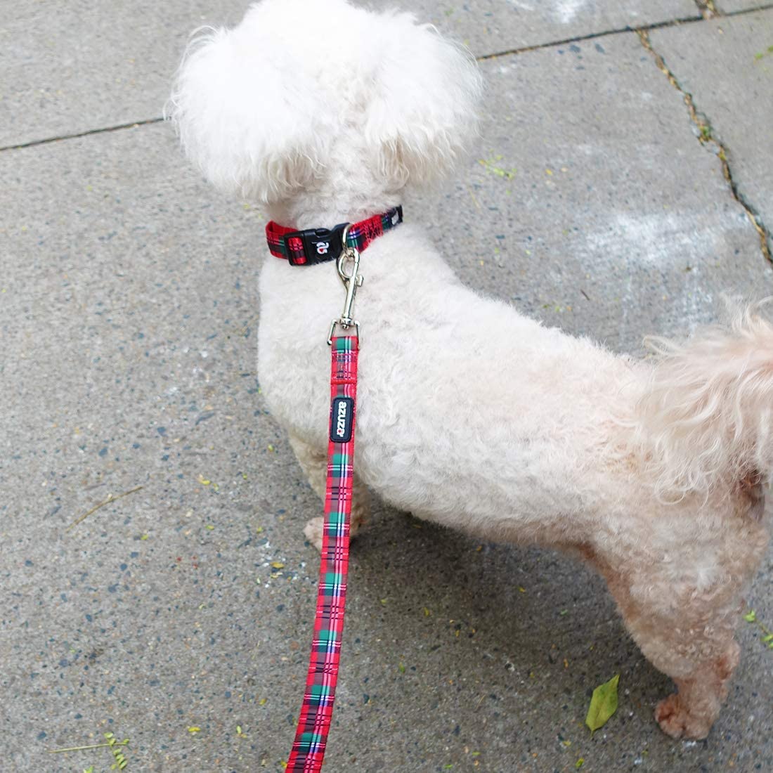 azuza Christmas Dog Collar and Leash Set， Buffalo Plaid Dog Collar with Matching Leash for Small Medium Large Dogs， Great for Christmas， New Year， Festivals and Daily Use