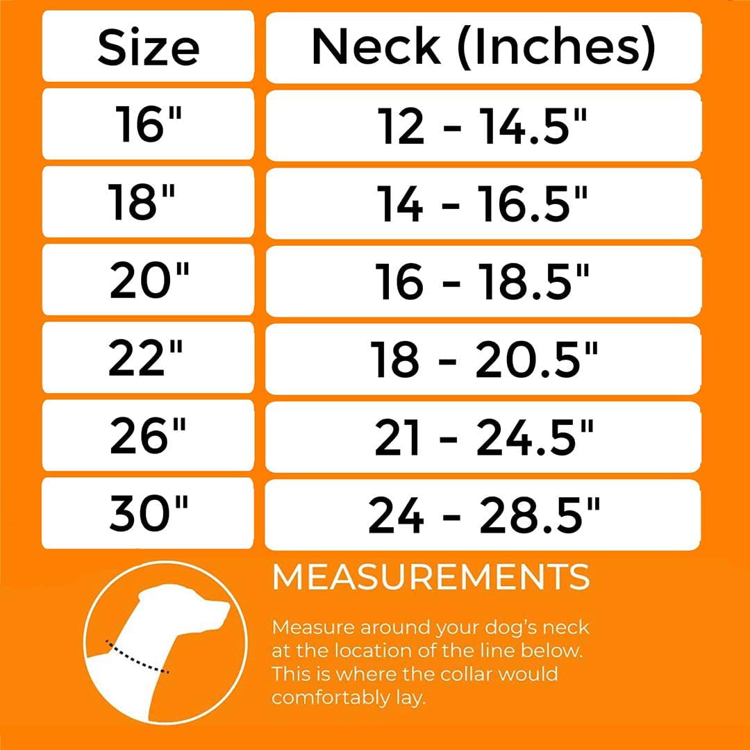 Mighty Paw Gun Metal Chain Slip Collar， Cinch Dog Collar， Choke Chain Metal Collar