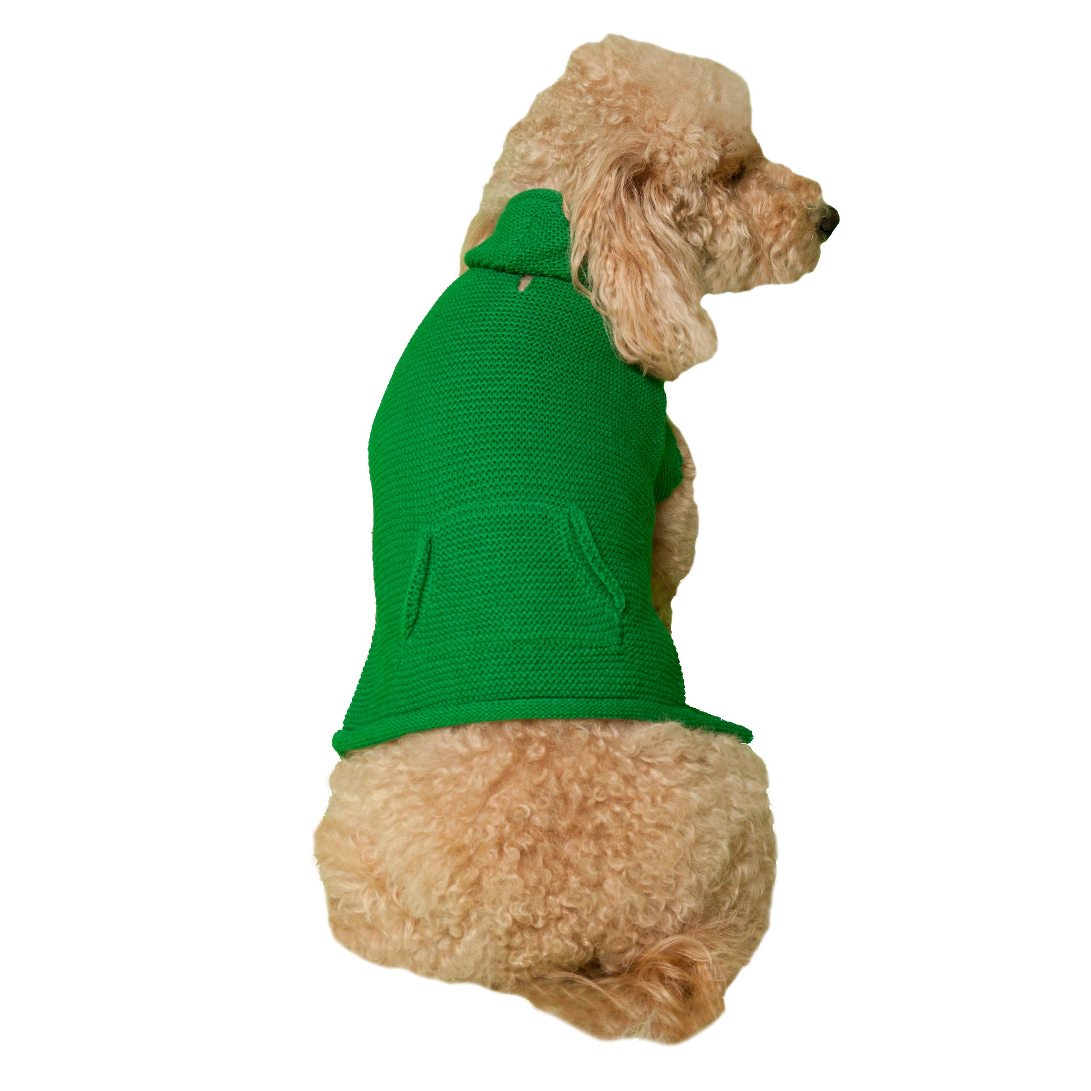 Vibrant Life Holiday Green Hoodie Dog Sweater and Cat Sweater