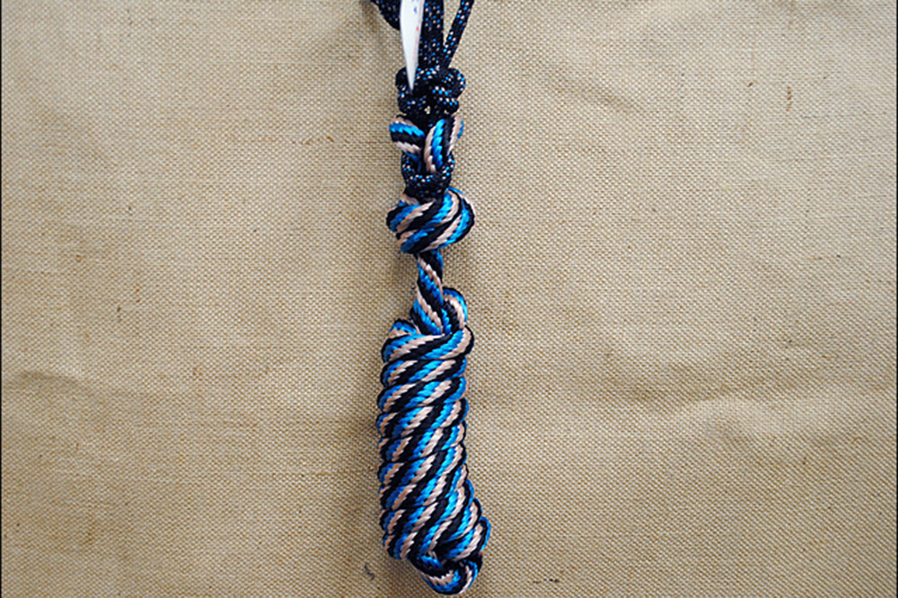 18PC Black Turquoise Professional Choice Western Horse Nylon Halter Rope 10Ft Lead