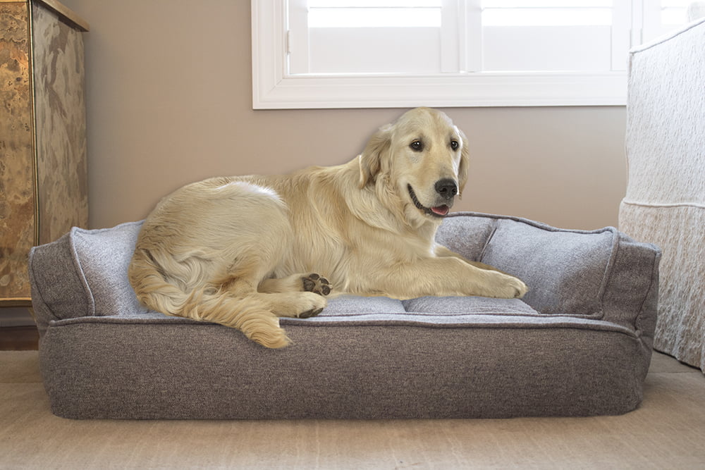 Arlee Home Fashions Memory Foam Sofa Pet Bed