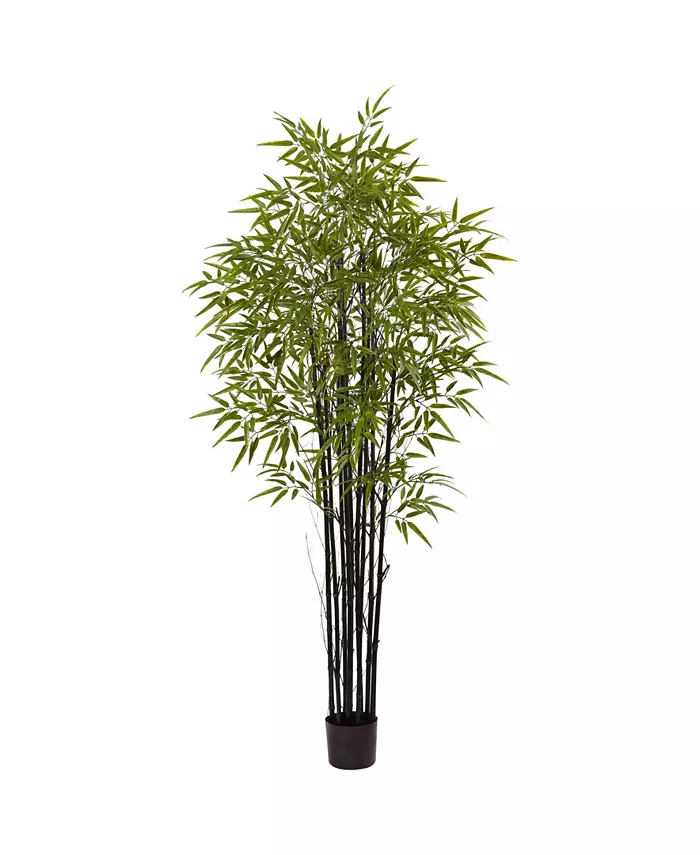 Nearly Natural 6' Indoor Outdoor UV-Resistant Artificial Black Bamboo Tree