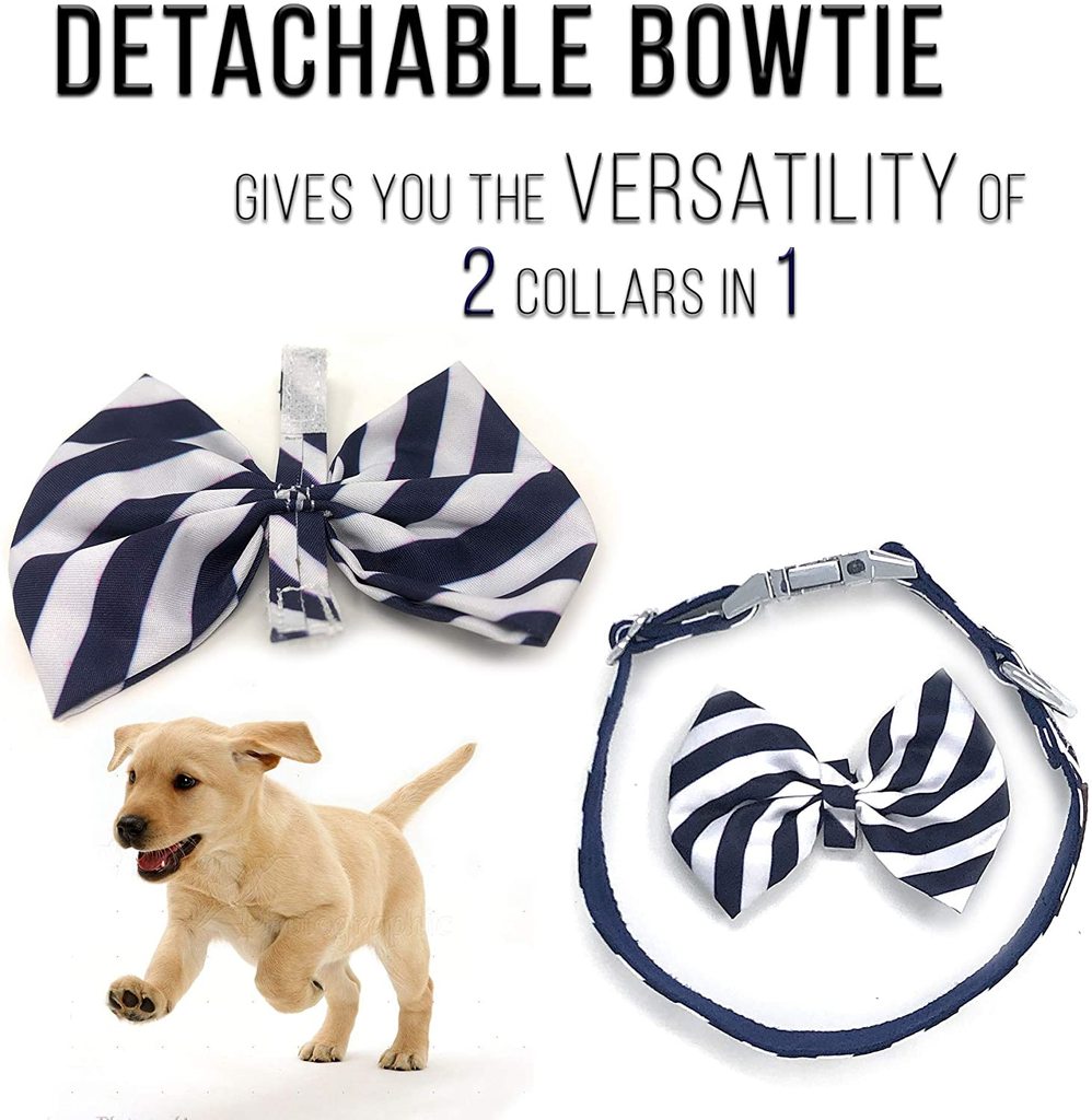 Regal Dog Products Cool Designer Bowtie Collars | Custom Fit Collar for Small， Medium and Large Dogs