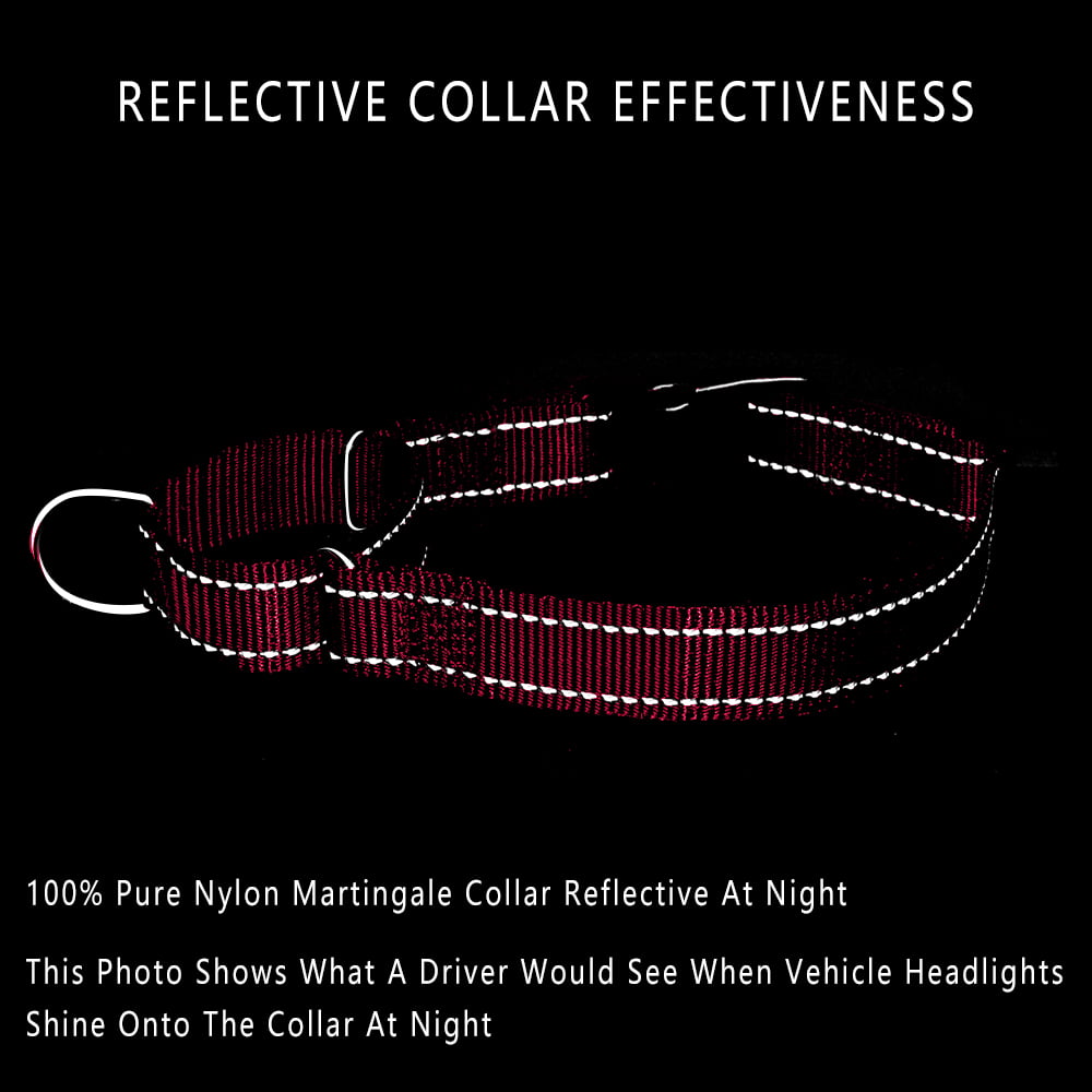 Plutus Pet Reflective Martingale Collar with Quick Snap Buckle