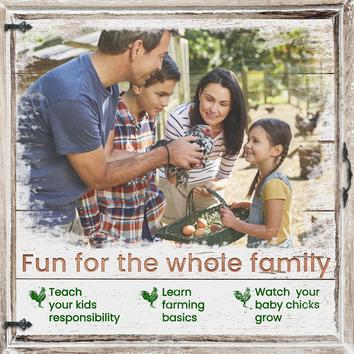 Hanover Elevated Wooden Chicken Coop with Ramp， Planting Area， Wire Mesh Run， Waterproof Roof， 4.25 Ft. x 4 Ft. x 4.2 Ft.