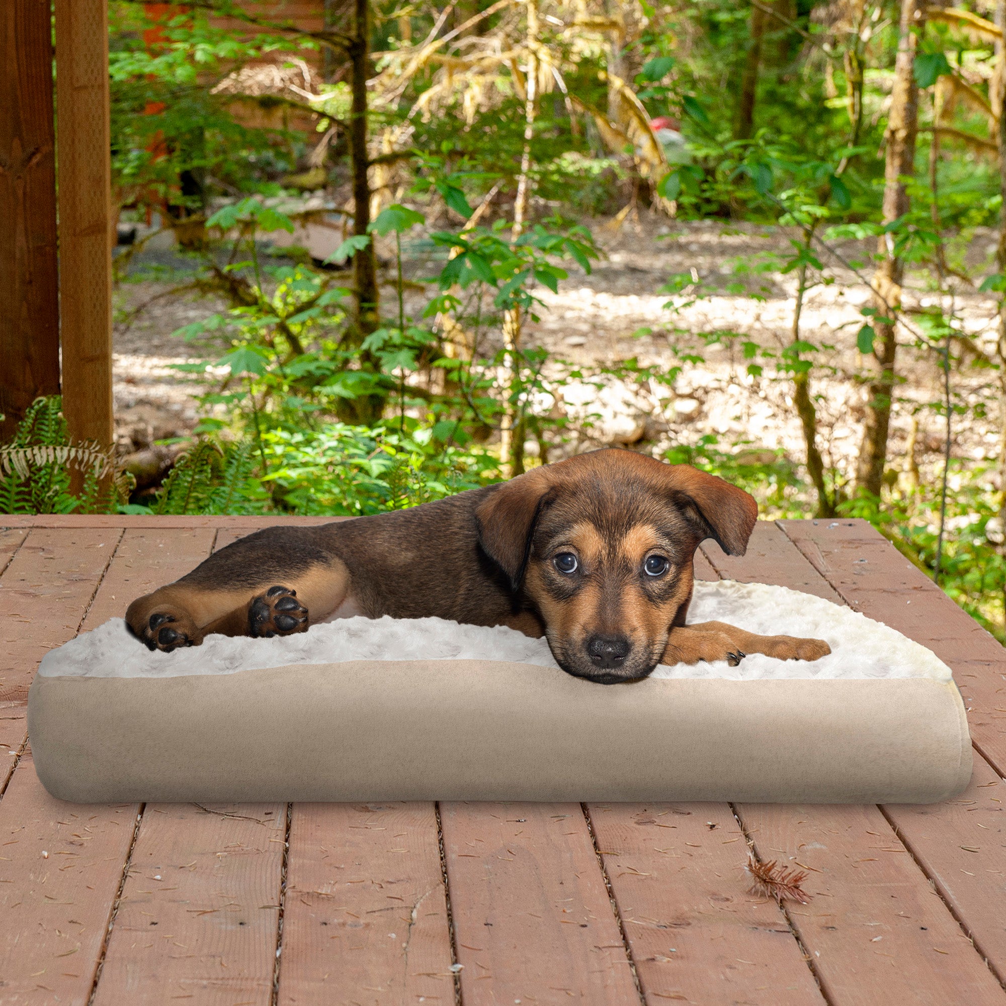 FurHaven Pet Products | Deluxe Plush Pillow Pet Bed for Dogs and Cats， Cream， Small