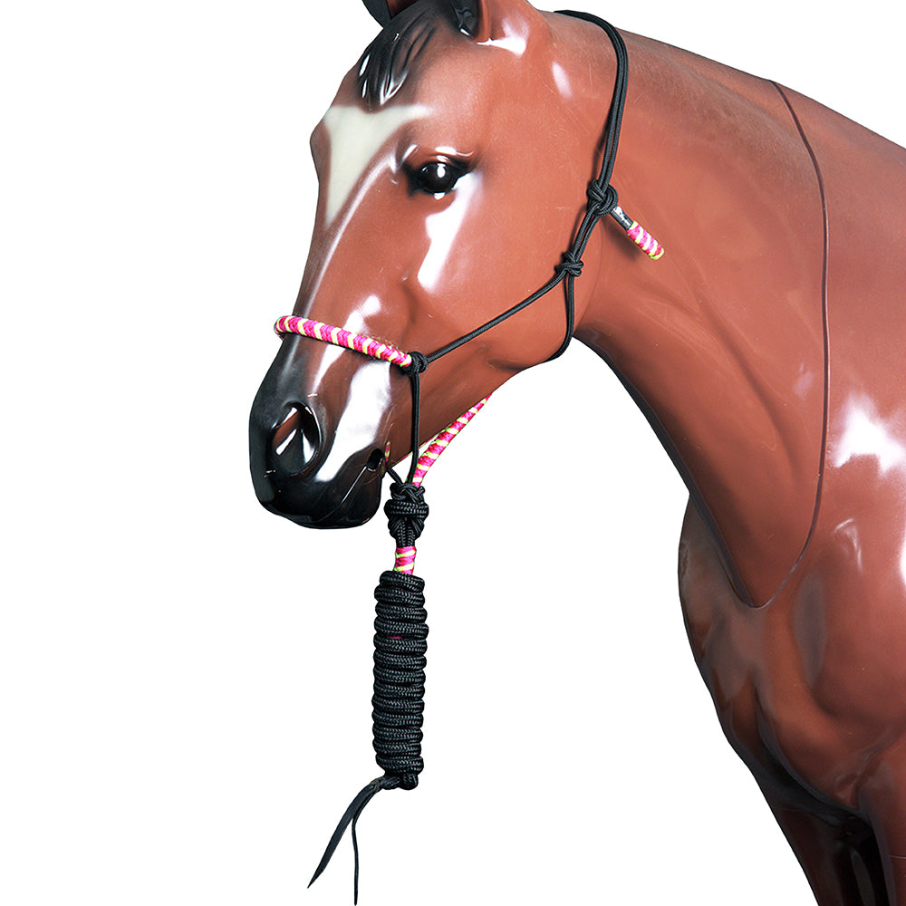 25CE Classic Equine Horse Two Tone  Nylon Halter Fuchsia Lime
