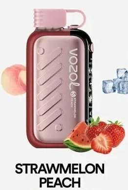 🧊VOZOL GEAR ICE&SWEET 50000 Puffs-Disposable Vape with Ice & Sweet Control