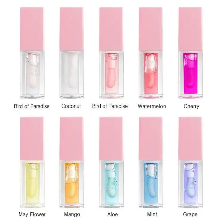Private Label Nourishing Long Lasting Lip Gloss Tinted Lip Balm Lip Care Transparent Lip Plump Oil