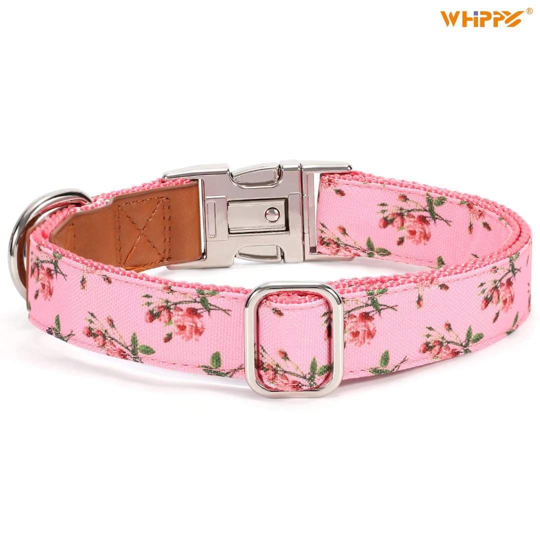 WHIPPY Dog Collar with Quick Release Buckle， Cute Girl Dog Collar for Small Medium Large Dogs